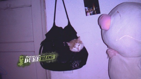 clip_image001
